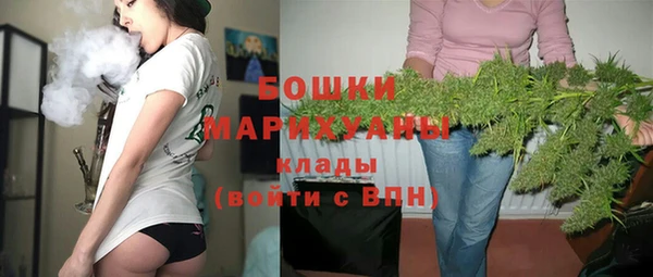 молекула духа Аркадак
