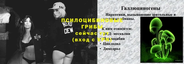 молекула духа Аркадак
